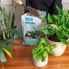 Back to the Roots 6qt Organic Indoor Potting Mix For Houseplants Specialty Mix: Perlite, Coconut Coir, Mycorrhizae - 2 of 4