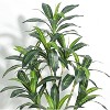 Artificial Dracaena Tree Fake Plant, Faux Tropical Yucca Floor Plant Tree in Pot for Home Decor Indoor Outdoor Office Decor, All Season Green - 2 of 4