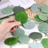 Unique Bargains Multipurpose Durable Artificial Eucalyptus Petals 100 Pcs - 4 of 4