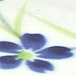 willow