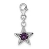 Black Bow Jewelry Sterling Silver February CZ Birthstone 13mm Star Clip-on Charm - 3 of 4