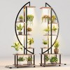 Metal Plant Stand with Grow Lights Tall Plant Stand with Wheels Indoor Half Moon Shape Plant Stands with Drawers Plant Shelf Rack - 2 of 4