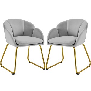 Yaheetech Set of 2 Flower Shape Velvet Armchair for Living Room, Bedroom, Gray - 1 of 4