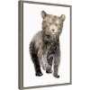 Amanti Art Baby Bear by Elena Markelova Canvas Wall Art Print Framed 16 x 23-in. - 3 of 4