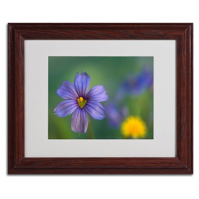 Trademark Fine Art -Kathy Yates 'Blue Eyed Grass' Matted Framed Art