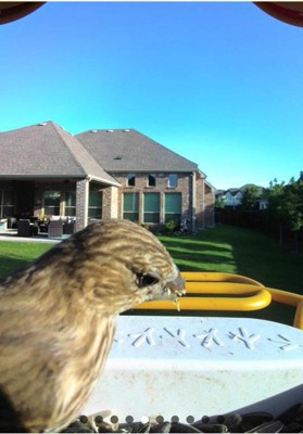 Guest review image 2 of 2, zoom in