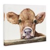 Stupell Industries Baby Cow Animal Watercolor Canvas Art, 20" x 16" - 2 of 4