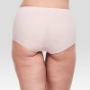Hanes Premium Women's 4pk Tummy Control Briefs - Gray/Beige/Black S
