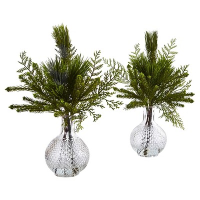 Mixed Pine Arranged in Glass Vases - Set of 2 - Nearly Natural