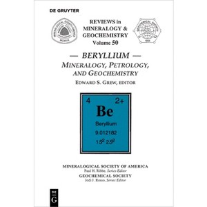 Beryllium - (Reviews in Mineralogy & Geochemistry) by  Edward S Grew (Paperback) - 1 of 1