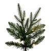 Vickerman 9' x 58" Berkley Mixed Pine Artificial Christmas Tree with DuraLit Warm White LED Lights - 2 of 4
