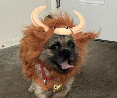 Guest review image 1 of 1, zoom in