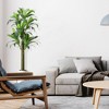 Artificial Dracaena Tree for Home Decor - 3 of 4