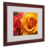 Trademark Fine Art -Monica Fleet 'Ideal Balance' Matted Framed Art - 2 of 4