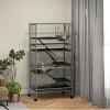 LAOTIES 6 Tier Large Chinchilla Cage with Hammock,Rolling Small Animal Cage with 6 Doors And Removable Tray,63" Heavy Duty Steel - 2 of 4
