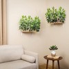 On2Pets Canopy Shelves Cat Beds - White - 2 of 4