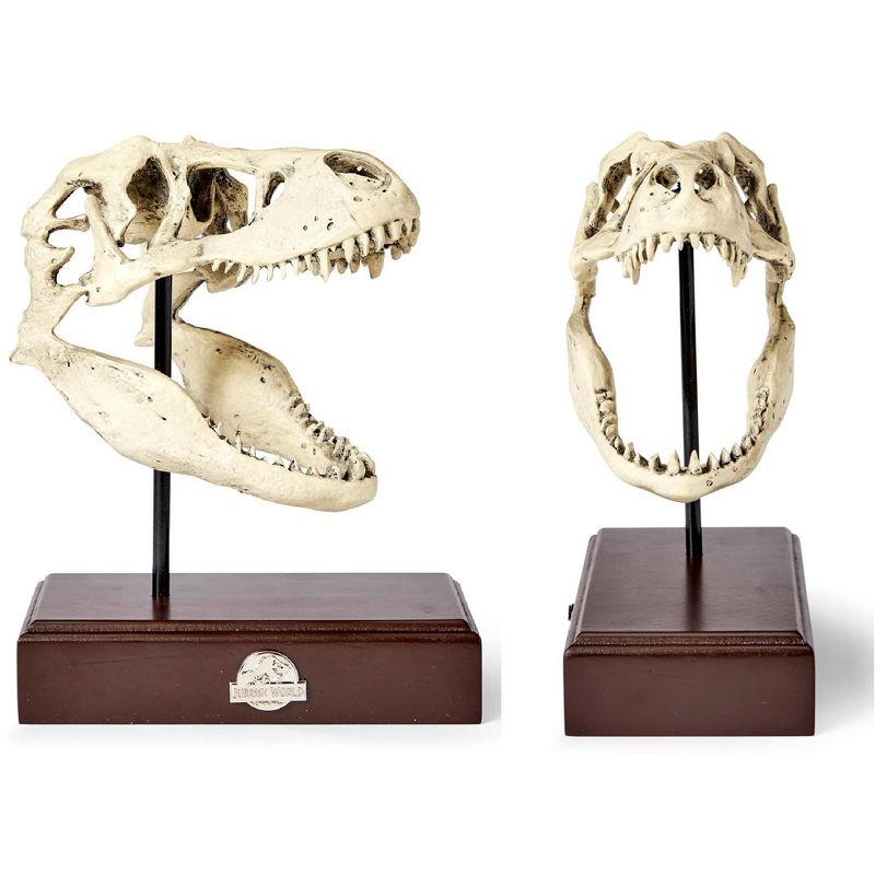 Surreal Entertainment Jurassic World 9x8 Inch Tyrannosaurus Rex Skull Resin Replica, 2 of 8