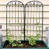 Sunnydaze Metal Wire Traditional Garden Trellis for Climbing Plants and Flowers - 32" H - Black - 2-Pack - 2 of 4