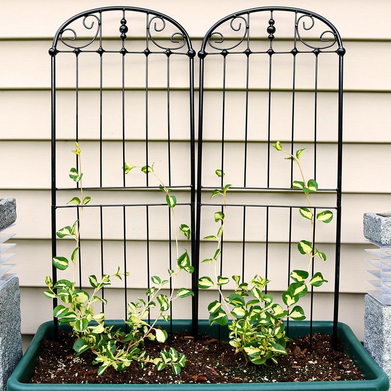 Sunnydaze Metal Wire Traditional Garden Trellis for Climbing Plants and Flowers - 32" H - Black - 2-Pack, 2 of 7