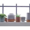 Storied Home Round Stoneware Planter Pot with Polka Dots, Sky Blue - 2 of 4