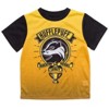 Harry Potter Gryffindor Hufflepuff Ravenclaw Slytherin Pajama Shirt and Shorts Sleep Set Little Kid to Big Kid - 2 of 4