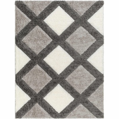 Hauteloom Amias Gray Area Rug