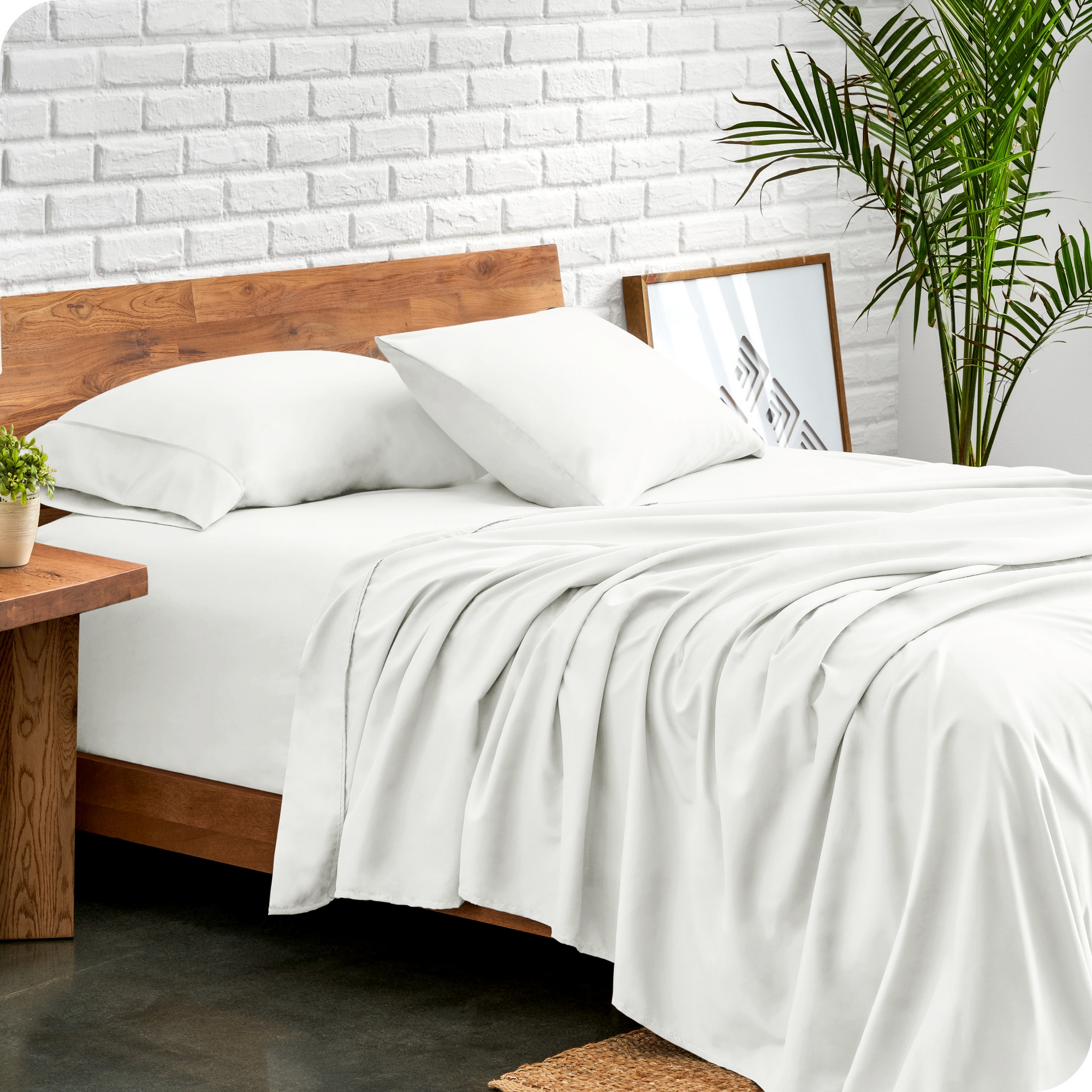 4 Piece Ultra Soft Brushed Easy Care Sheet Set by Bare Home - Queen, Cream