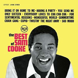 Sam Cooke - The Best Of (140 Gram Vinyl) - 1 of 1