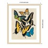 Amanti Art Collaged Butterflies II by Victoria Barnes Wood Framed Wall Art Print - 4 of 4