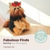 Bearington Stuffed Yorkshire Terrier: Chewie the Yorkie Plush Puppy, Ultra-Soft 13 - 2 of 4