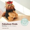 Bearington Stuffed Yorkshire Terrier: Chewie the Yorkie Plush Puppy, Ultra-Soft 13 - image 2 of 4