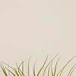 5 layer 55cm foldable cabinet