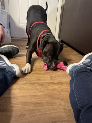 Guest review image 3 of 5, zoom in