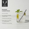Viski Stainless Steel Straws for Cocktails - Eco-Friendly Reusable Metal Straws - Black Gunmetal 5in Set of 6 - 2 of 4