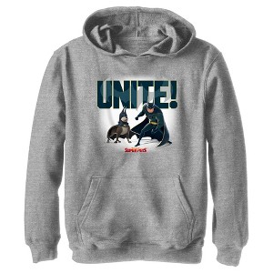 Boy's DC League of Super-Pets Batman and Ace Unite Pull Over Hoodie - 1 of 4
