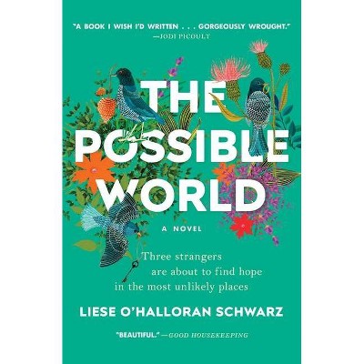 The Possible World - by  Liese O'Halloran Schwarz (Paperback)