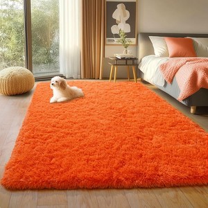 Area Rugs for Living Room Bedroom, Non-Slip Fluffy Soft Shag Carpet for Kids Home Dorm Decor - 1 of 4
