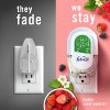 Febreze Plug Triple Refill Air Freshener - Berry & Bramble - 3ct - 4 of 4