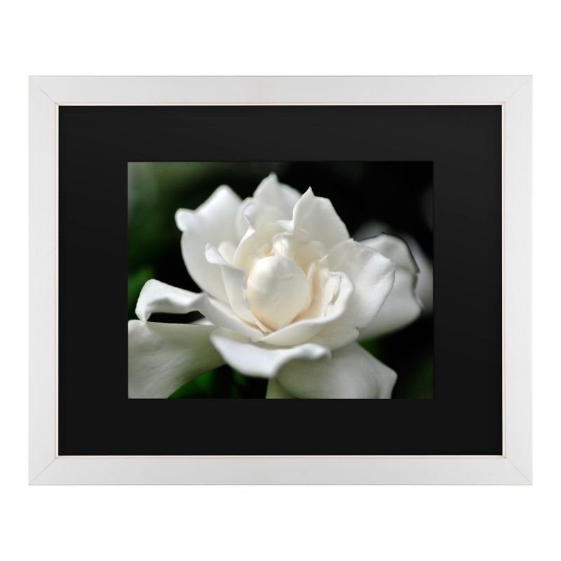 Trademark Fine Art -Kurt Shaffer 'Lovely Gardenia' Matted Framed Art, 2 of 5