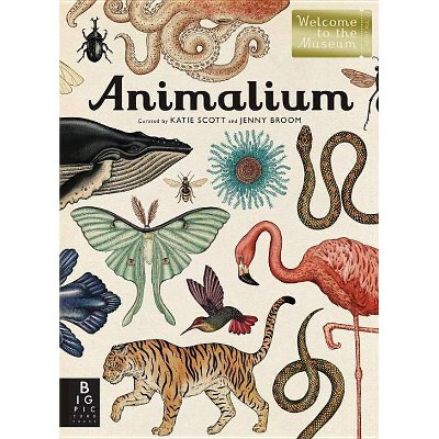 Animalium - (Welcome to the Museum) by  Jenny Broom (Hardcover)