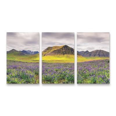 Trademark Fine Art Michael Blanchette Photography Lupines and Mountains Panorama 3 Piece Panel Set Art
