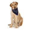3-Pack Paisley Cotton Dog Scarf Triangle Bibs  - XL and Washable - 3 of 4