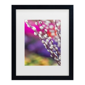 Trademark Fine Art - Jenny Rainbow Fine Art Spring Willow Branch Matted Framed Art - 1 of 4