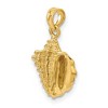 Black Bow Jewelry 14k Yellow Gold Polished Textured Conch Shell Pendant - 4 of 4