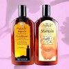 Agadir Argan Oil Daily Moisturizing Shampoo - (12 oz) & Moisturizing Conditioner - (12 oz) duo set - Shine Brighter. Dry Faster - 4 of 4