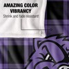 City College Of New York Campus Plaid Spirit Silky Touch Super Soft Throw Blanket 50x60 - 4 of 4