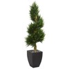 Nearly Natural 5.5-ft Cypress Spiral Artificial Tree in Black Wash Planter UV Resistant (Indoor/Outdoor) - 2 of 2
