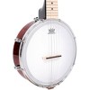 Gold Tone Plucky 5-String Travel Banjo Vintage Brown - 3 of 4