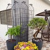 Tall Metal Garden Arch Trellis, Plant Support for Climbing Roses, Cucumbers and Flowers – The Pop Home - 2 of 4