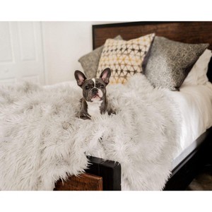 Paw Brands PupProtector Waterproof Dog Blanket - 1 of 4